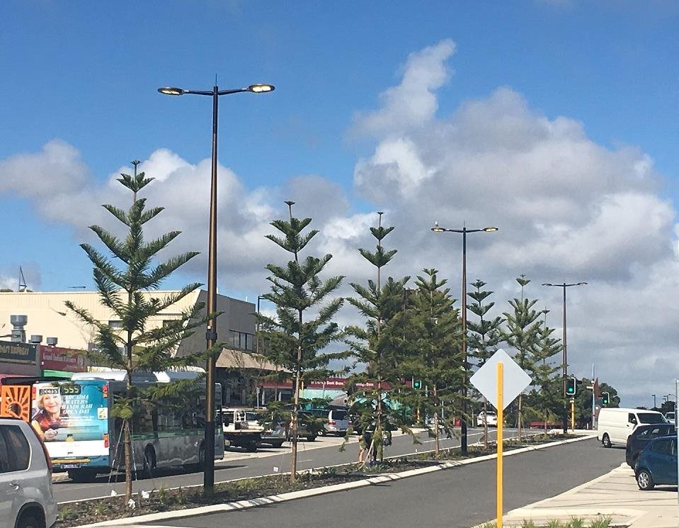 Lights and Signs City of Rockingham